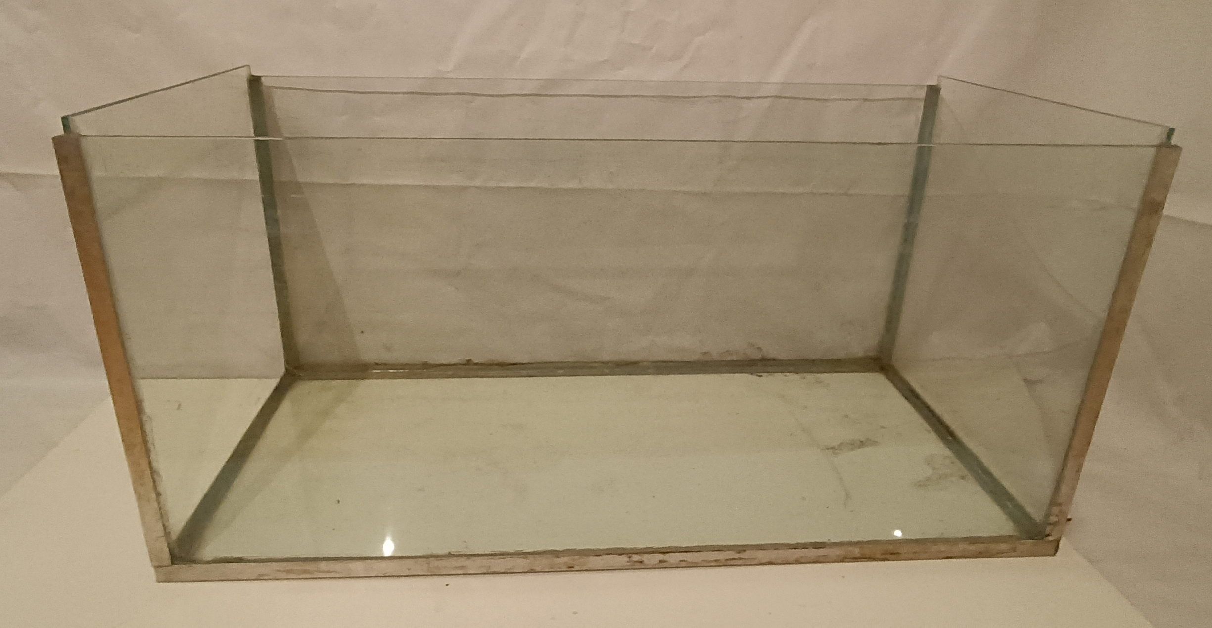 Image of Akvarium  in Akvarium