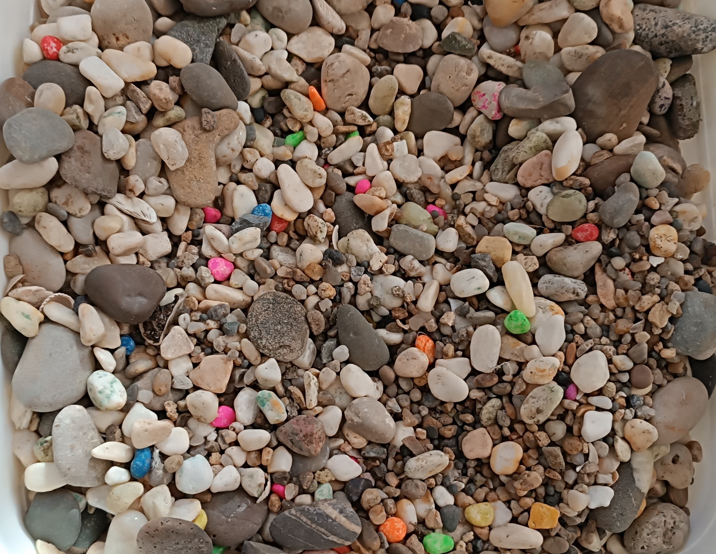 Image of Qrunt in Qrunt