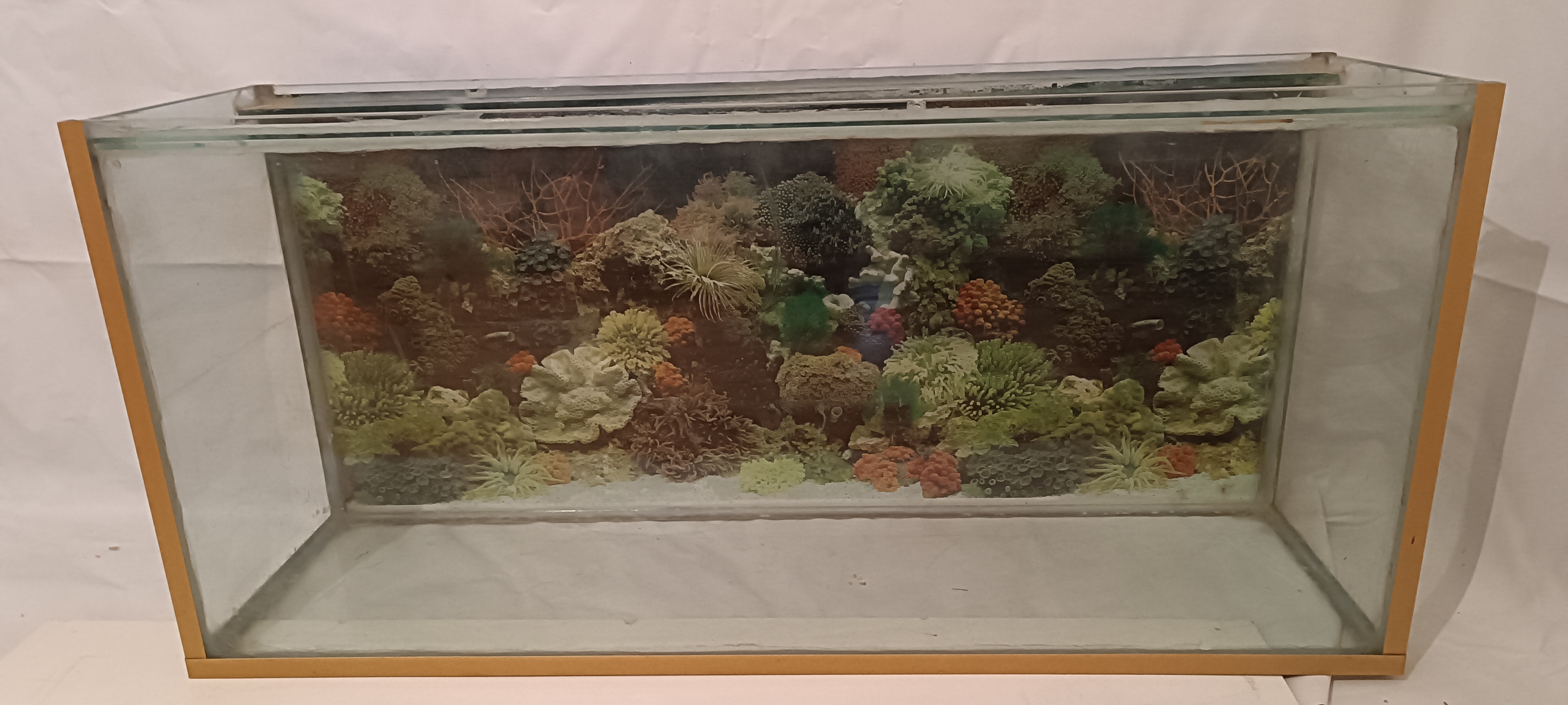 Image of Akvarium  in Akvarium