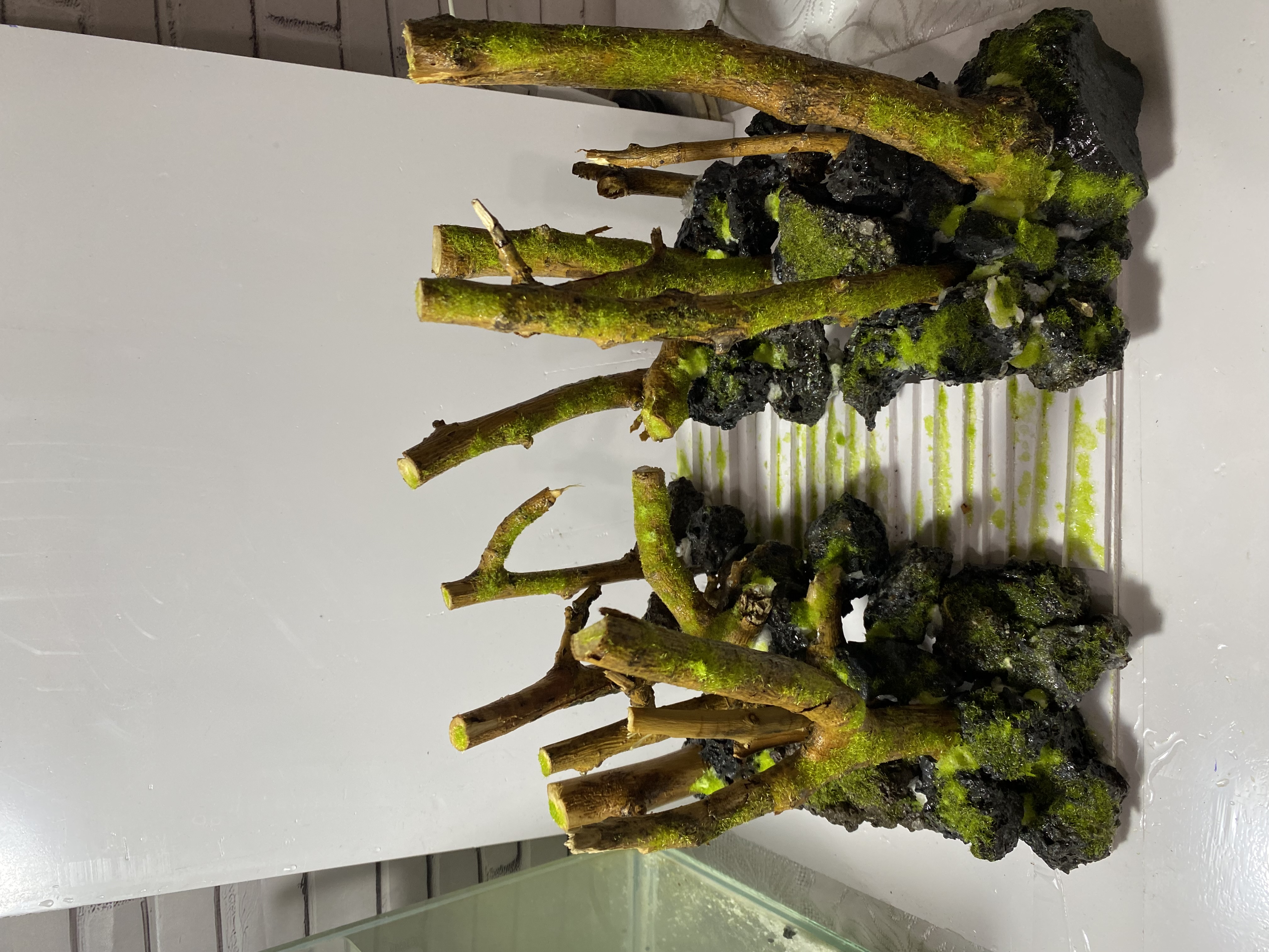 Image of akvarium dekorları yığılır in Aksesuar