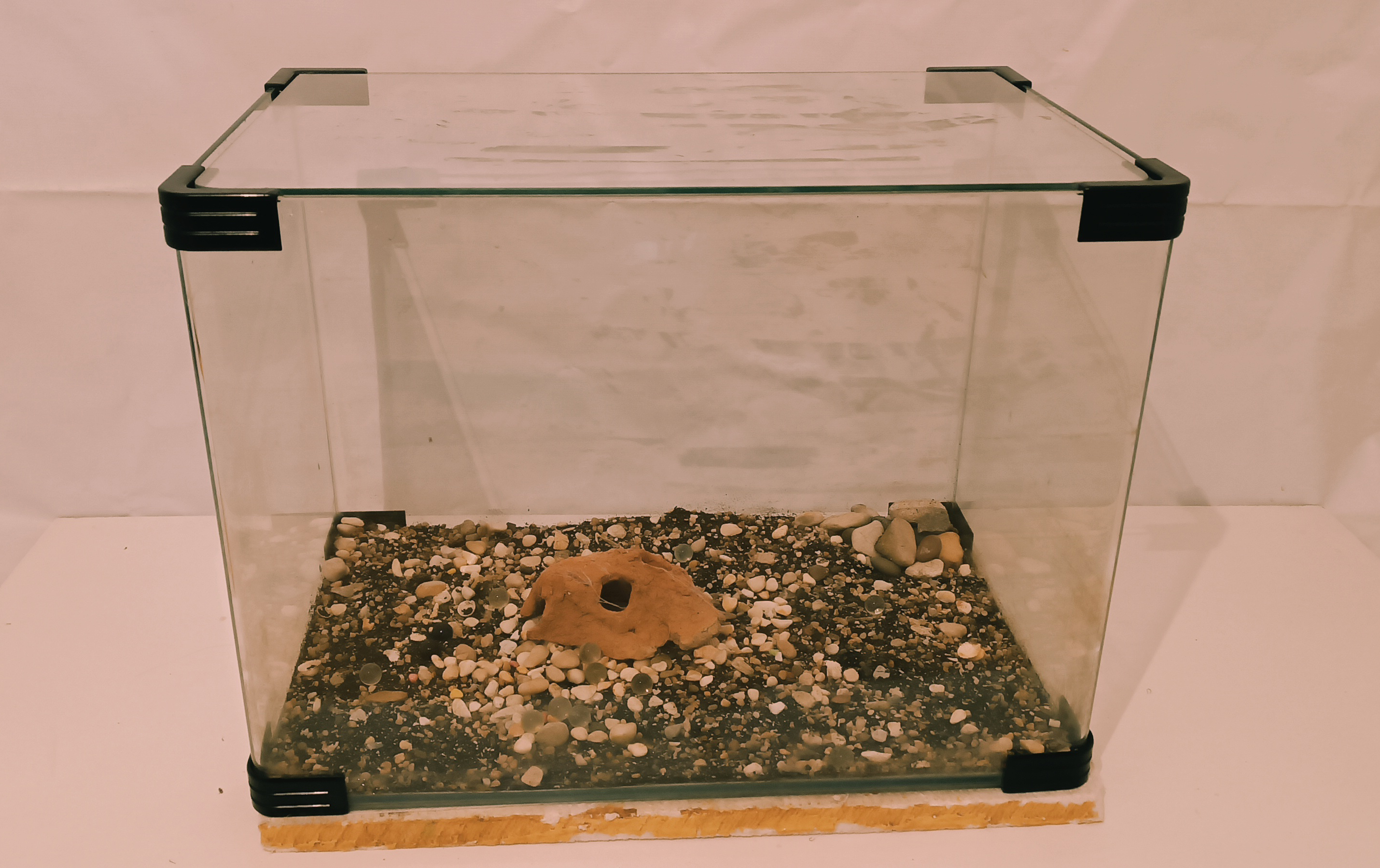 Image of Zavod Akvarium in Akvarium